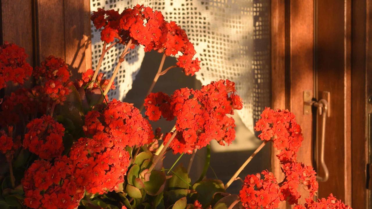 Anemos And Almyra Lägenhet Kini Exteriör bild